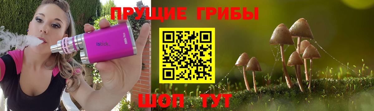 Якутск  Псилоцибиновые грибы MAGIC MUSHROOMS  Вход с VPN 